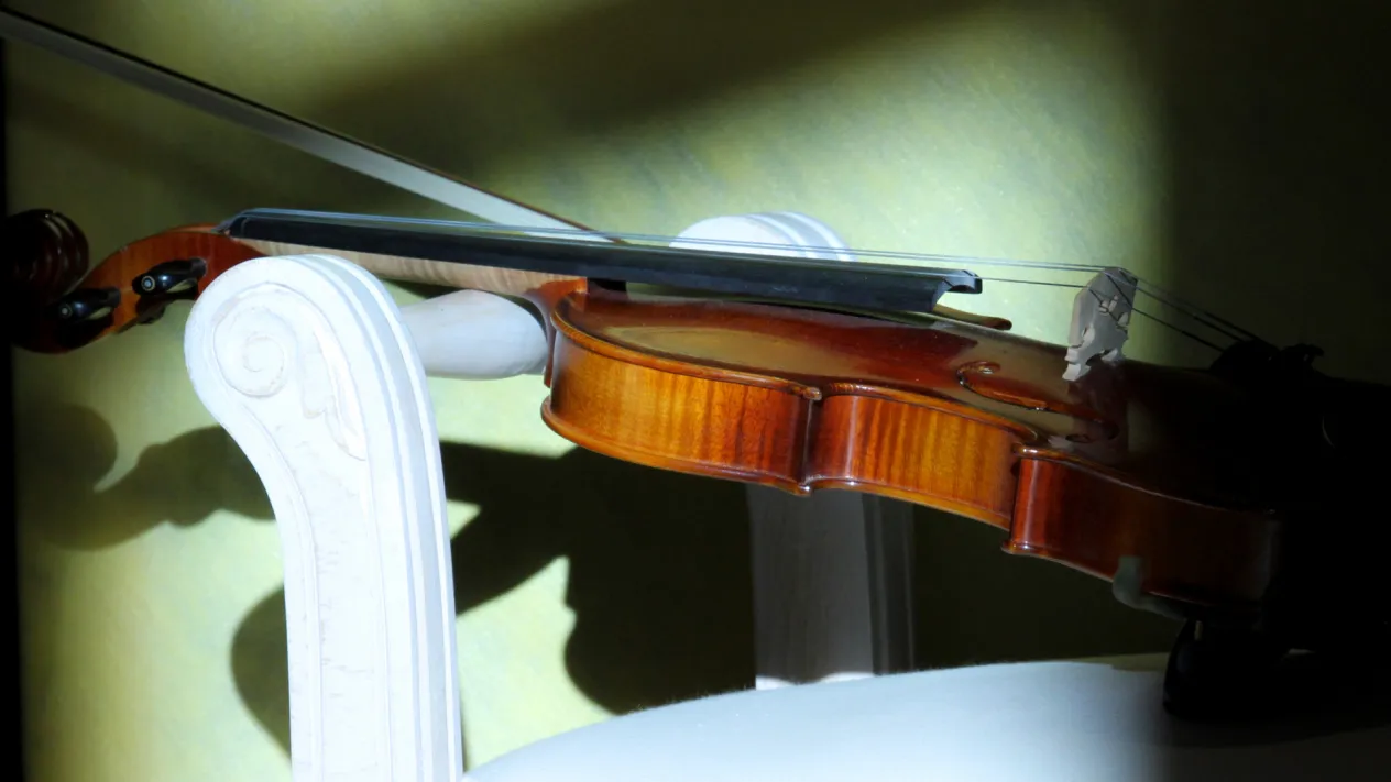 Geige, Musik, Instrument (Foto: Bernhard Nauli)